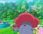 Pokémon, les voyages