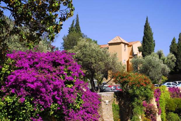 Bormes-les-Mimosas, commune fleurie du Var