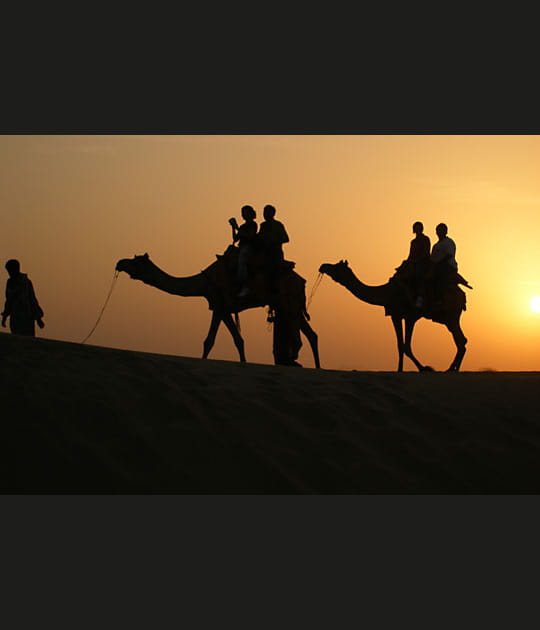 D&eacute;sert du Thar