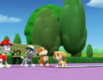 Paw Patrol, la Pat'Patrouille
