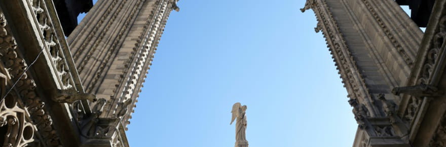 Retour dans les tours de Notre-Dame