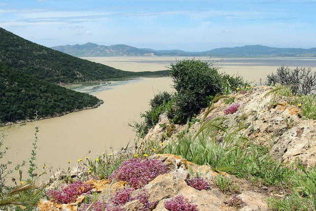 Le parc national de l'Ichkeul