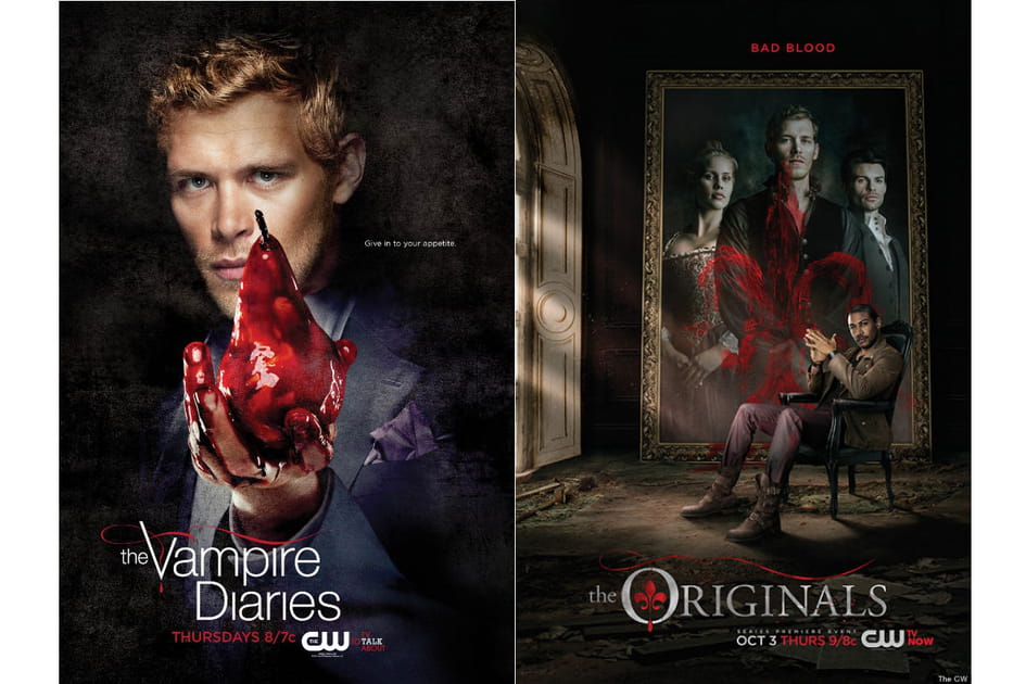 Vous avez aim&eacute; Vampires Diaries...