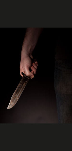 Homicides&nbsp;: 381&nbsp;d&eacute;c&egrave;s (0,07&nbsp;%)