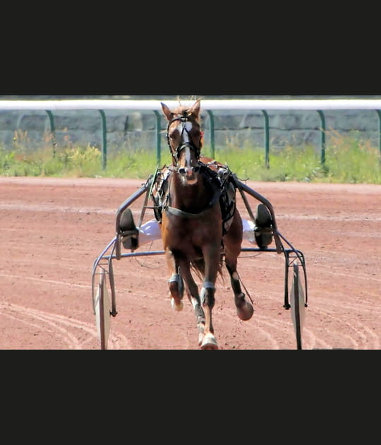 Le cavalier sans t&ecirc;te