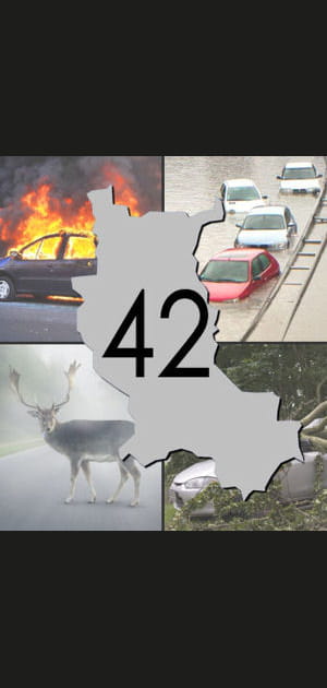 Num&eacute;ro 11&nbsp;: la Loire