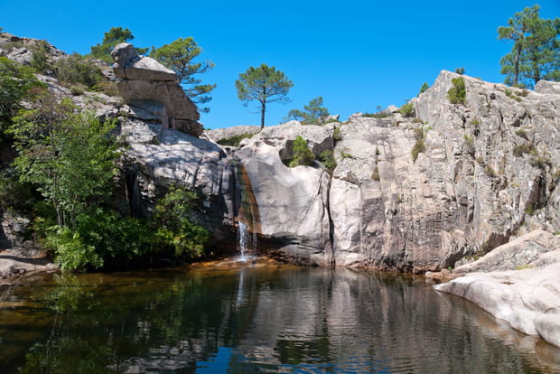 La forêt de l'Ospédale, pour une promenade hivernale en Corse