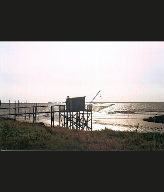 Les marques de la temp&ecirc;te