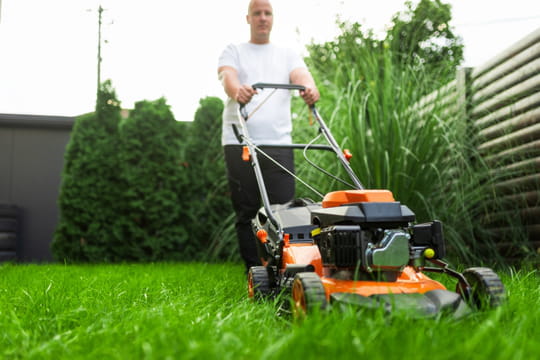 Imp&ocirc;ts&nbsp;: tous ceux qui ont un jardin doivent penser &agrave; cette case, elle permet de faire de belles &eacute;conomies