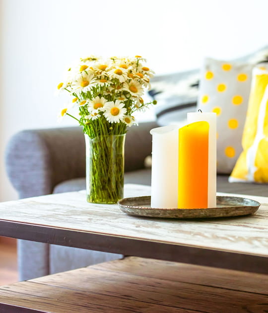 Mettez des fleurs et des plantes grasses