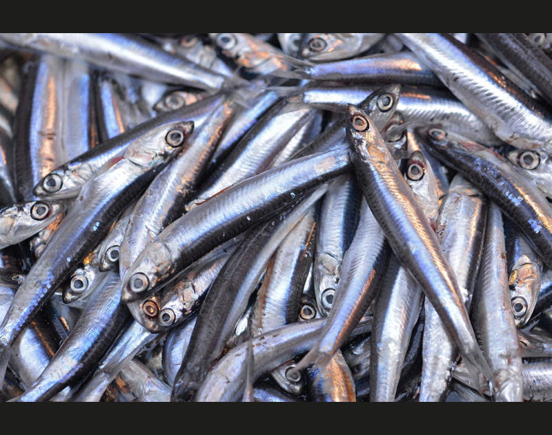 Trim&eacute;thylaminurie : une odeur de poisson persistante