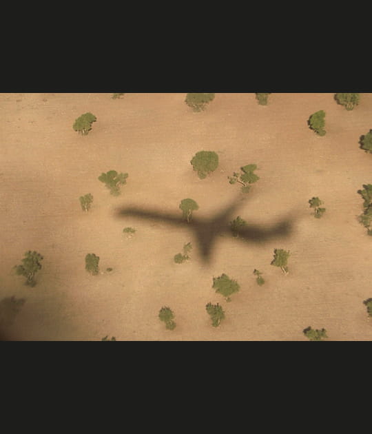 Avion dans les arganiers