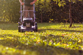 Voici quand l'herbe doit &ecirc;tre coup&eacute;e pour la derni&egrave;re fois&nbsp;: les autres ne le savent pas