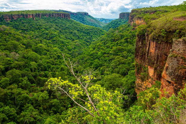 "Chapada dos Guimarães" : la merveille du Mato Grosso