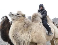 Rendez-vous en terre inconnue : Mélanie Doutey chez les nomades de Mongolie