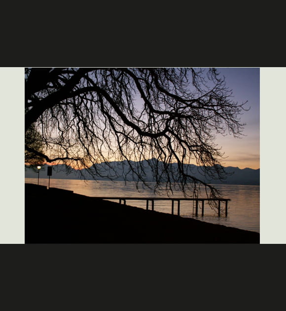 Au petit matin