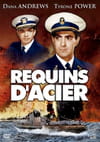 Requins d'acier