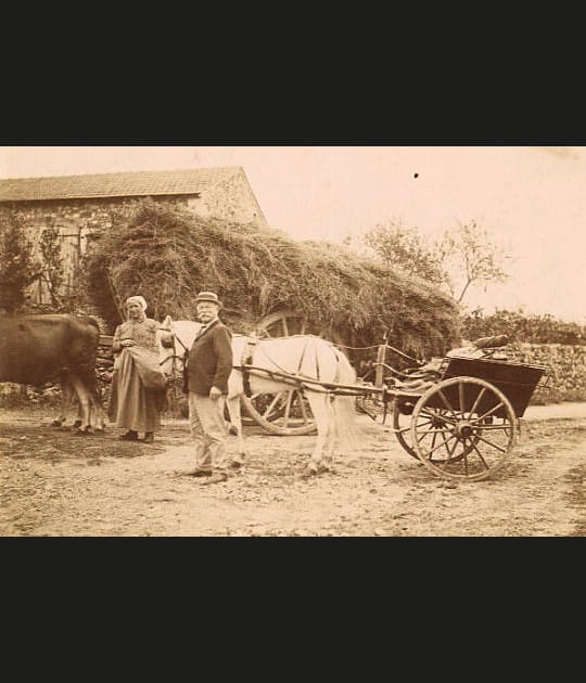 La voiture &agrave; cheval