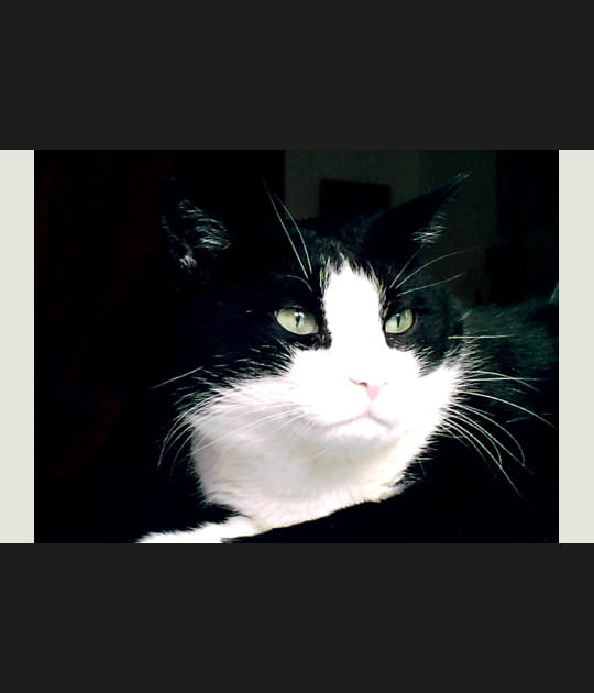 Regard