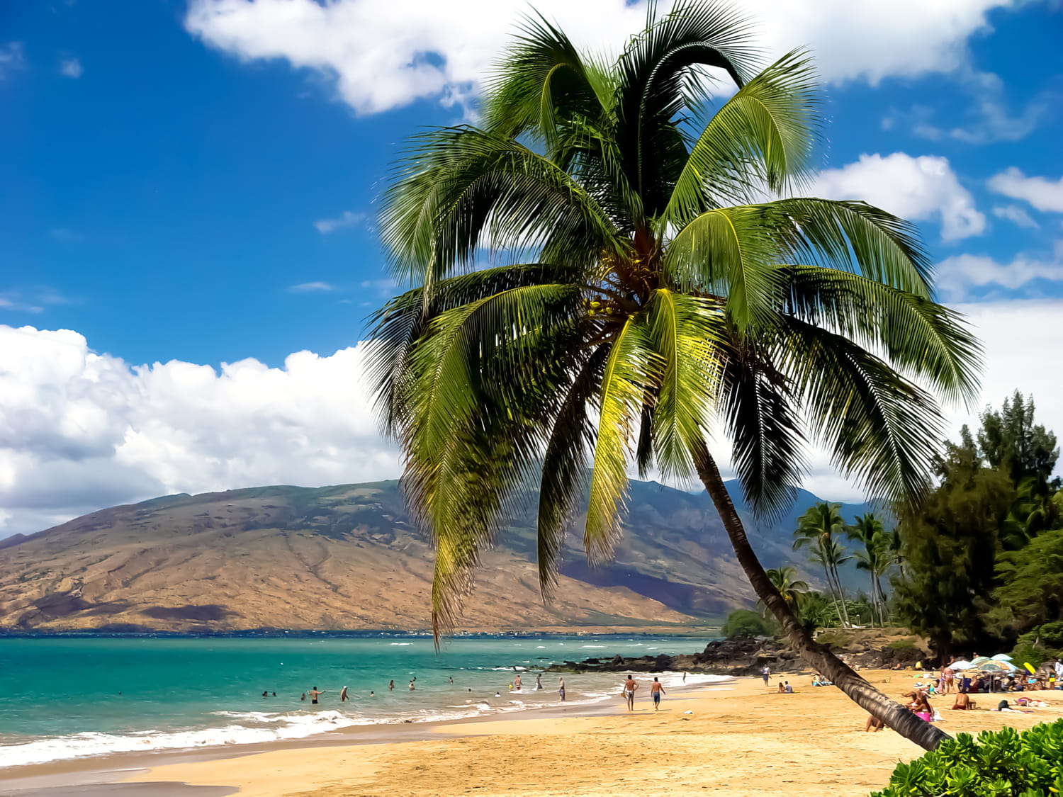Hawaï : A voir, météo, monuments - Guide de voyage - Tourisme