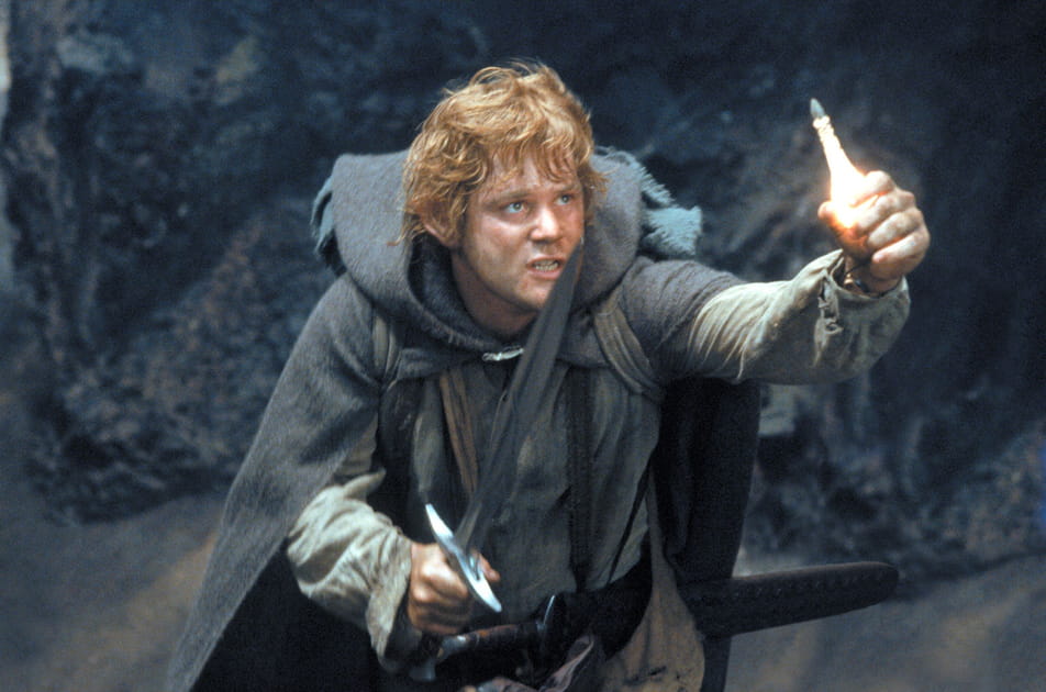 Sean Astin&nbsp;: 250&nbsp;000$