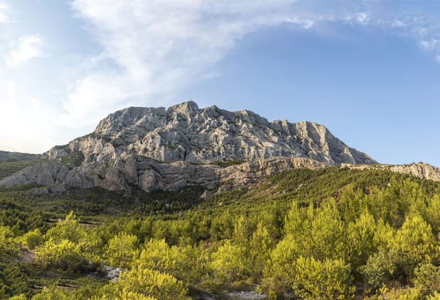 Montagne Sainte-Victoire, l'obsession cézannienne