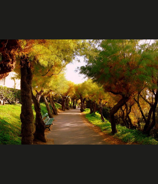 Automne