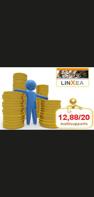 10e&nbsp;: LinXea &eacute;volution Internet opportunit&eacute;s de LinXea