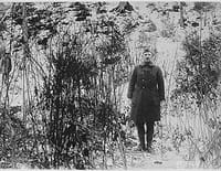 Le singulier destin du Sergeant York