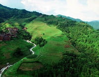 Voyage à travers les couleurs : la Chine : Le vert