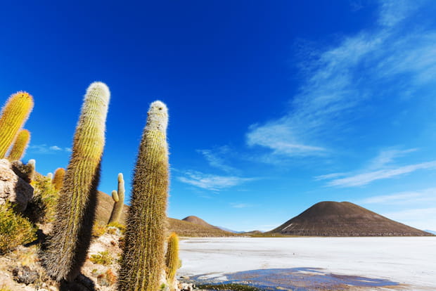 Désert de sel en Bolivie