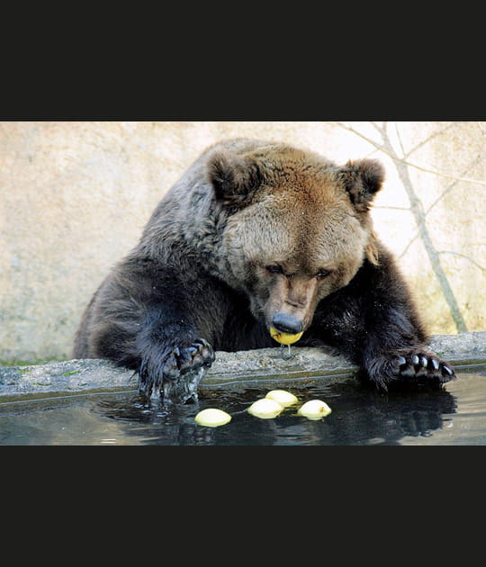 Ours