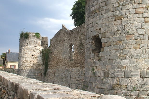Château de Dourdan, Essonne