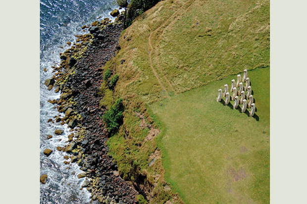 Les ombres qui se souviennent