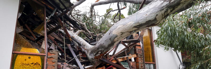 Temp&ecirc;te en Australie&nbsp;: deux camions militaires en mission entrent en collision, 36&nbsp;bless&eacute;s