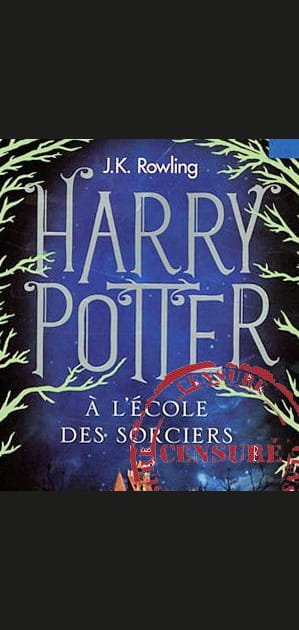 &quot;Harry Potter&quot;, sorcellerie !