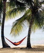 tropical