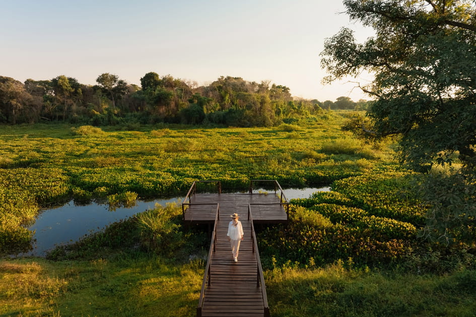 Caiman, le plus bel &eacute;colodge du Pantanal sud
