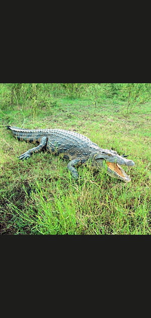Midi&nbsp;: le soleil &agrave; son z&eacute;nith