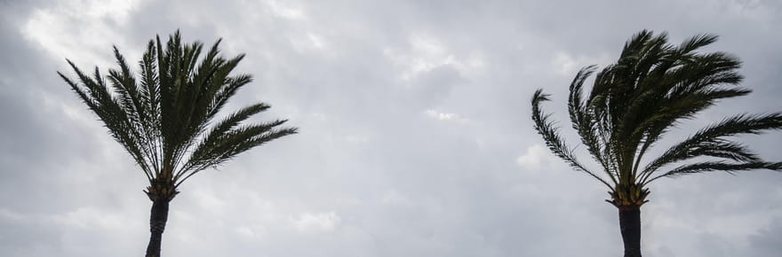 Temp&ecirc;te Claudia&nbsp;: 21&nbsp;d&eacute;partements plac&eacute;s en vigilance pour vents violents, un &eacute;pisode durable annonc&eacute;