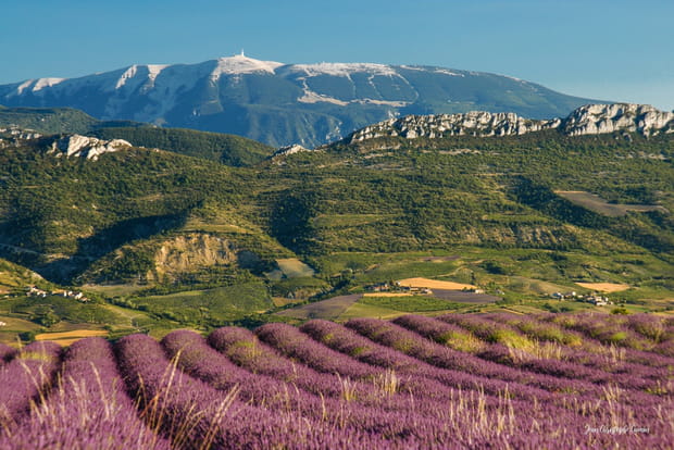 Le Mont Ventoux, à la conquête du "Géant de la Provence"