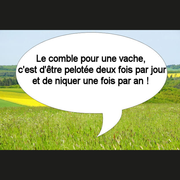 Fran&ccedil;ois&nbsp;: des statistiques pr&eacute;cises