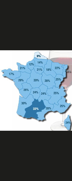 Vin&nbsp;: Midi-Pyr&eacute;n&eacute;es&nbsp;num&eacute;ro&nbsp;1