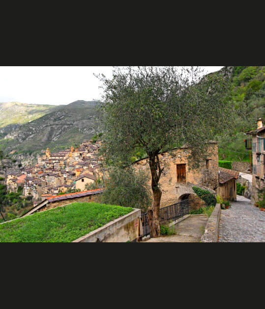 Sur les hauteurs