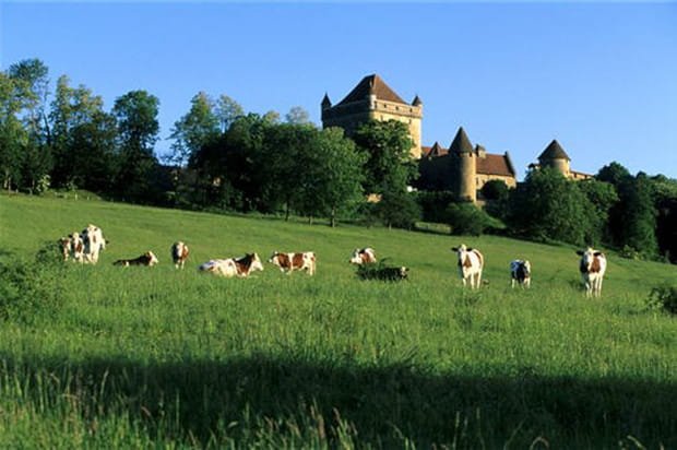 Les paysages du Jura