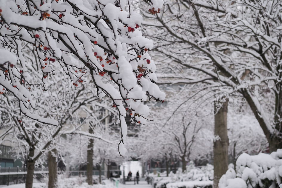 Les images de la neige &agrave; Paris et en France