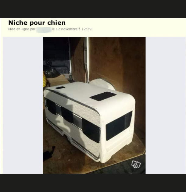 Pour toutou globe-trotter