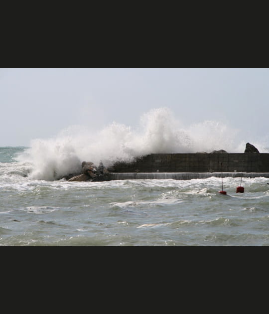 A force de digue