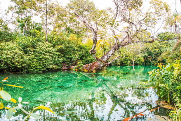 Rio Sucuri, à la découverte des joies de la "flutuação"