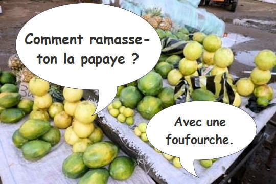 fruit exotique en 5 lettres